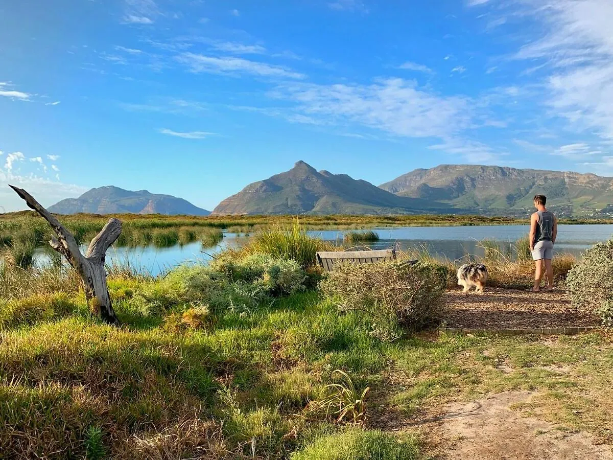 Bohemian Chic Family Home Imhoff's Gift