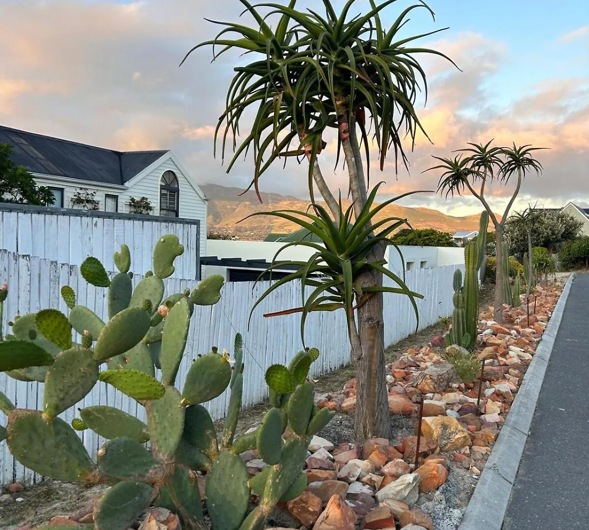 Bohemian Chic Family Home Imhoffʼs Gift 南アフリカ